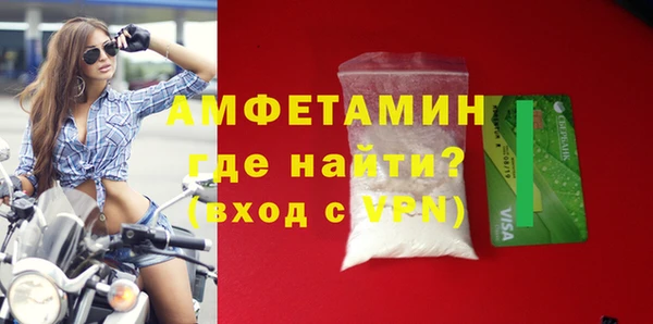 стаф Каменка