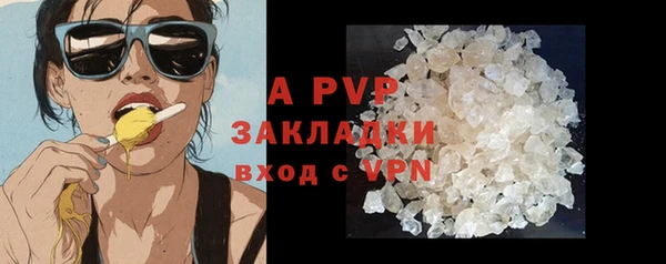 стаф Каменка