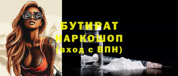 стаф Каменка