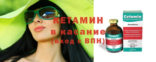 стаф Каменка