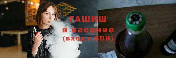стаф Каменка