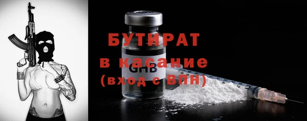 стаф Каменка