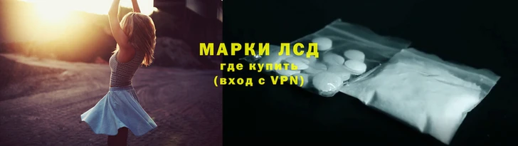 стаф Каменка