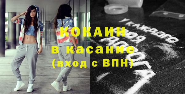 стаф Каменка