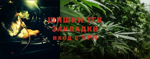 стаф Каменка