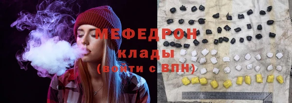 стаф Каменка