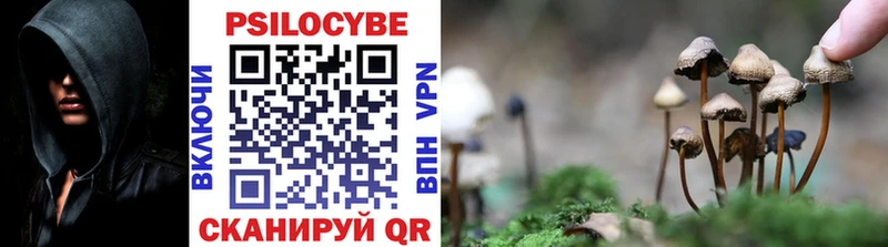 Галлюциногенные грибы GOLDEN TEACHER  blacksprut ТОР  Новый Уренгой  где продают  